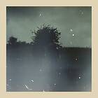Bremer/McCoy Forsvinder LP/Vinyl