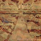 Lavender Flu Tracing The Sand By The Pool LP/Vinyl