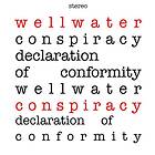 Wellwater Conspiracy Declaration Of Conformity LP/Vinyl
