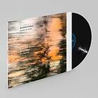 Avishai Cohen Ashes to Gold LP/Vinyl