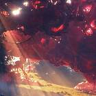 Murcof Twin Color (vol. I) LP/Vinyl