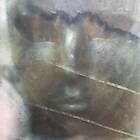 Ruth Goller skylla LP/Vinyl