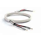 Audiovector ZERO Avantgarde 2 x 3,15m