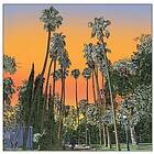 Gecko Turner Somebody From Badajoz CD