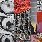 Greyhaven Empty Black CD