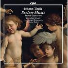 Flor, Mields Works By Theile Zuber & Flor CD