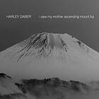Harley Gaber, David Gilbert, Linda Cummisky I Saw My Mother Ascending Mount Fuji