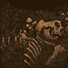 Thrall Aokigahara Jukai CD
