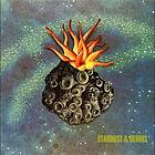 Lotta Wenglen Stardust & Debris CD