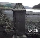 Diverse Artister Arise: A Cold Spring Sampler CD