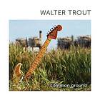 Walter Trout Common Ground CD