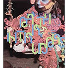 Björk Earth Intruders CD