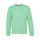 Colorful Standard Classic Organic Crew (Unisex)
