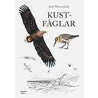 Kustfåglar
