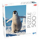 Tactic Pussel: Baby penguin 500 Bitar