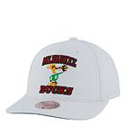 Mitchell & Ness Bucks All In Pro HWC