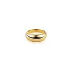 Mockberg Bold Gold