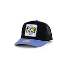 Mitchell & Ness UNC Truck It Trucker