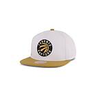Mitchell & Ness Raptors Side Core 2.0 Snapback