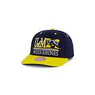 Mitchell & Ness Wolwerines GPA Snapback
