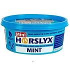Mint Slicksten Horslyx 650g