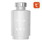 Gosund Smart Bluetooth Thermostat Valve STR1 TUYA
