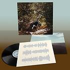 Ty Segall Possession LP/Vinyl