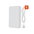 Neo Smart Water Sensor WiFi NAS-WS05W TUYA