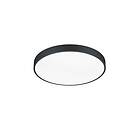 Trio Lighting Waco Ø50