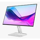 Lenovo L24i-4A 23.8" Full HD Grey