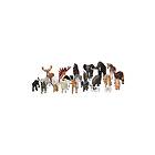 Mojo Play Animals School Package 23 pcs.