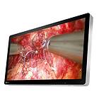 Eizo CuratOR EX3242-3D 32" 4K Ultra HD LCD Touchscreen