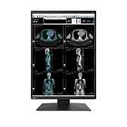 Eizo RadiForce RX370 21.3" LCD