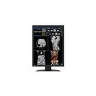 Eizo RadiForce RX270 21.3" UXGA LCD White