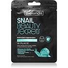 Bielenda Snail Beauty Secrets Regenererande mask för problematisk hud, akne