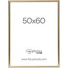 Focus Can-Can Shiny Gold 50x60