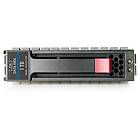 HP 507631-002 1TB