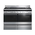 Fisher & Paykel OR120DDWGFX2 (Stainless Steel)