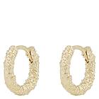 Snö Of Sweden Gisele Small Ring Earrings Plain Gold