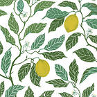 Ljungbergs Textil Citrus Ekobomull Grön Veckad gardinkappa