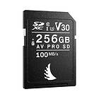 Angelbird SD AV PRO SDXC, SD 6,1, UHS-I, R100/W92 (V30) 256GB