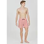 Cruz Clemont Swimming Trunks Badbyxor