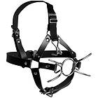 Ouch! Xtreme Head Harness med Spider Gag och Näskrokar