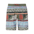 Protest Prtcinema Boardshorts