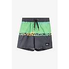 Quiksilver Everyday Straight Badshorts 