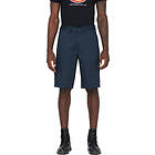 Dickies Everyday Short (Herr)