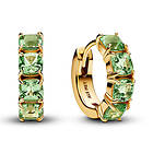 Pandora Timeless örhängen 263851C01