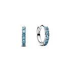 Pandora Timeless örhängen 293849C01