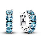 Pandora Timeless örhängen 293851C01