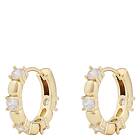 Snö Of Sweden Billie Ring Earring Gold/Clear